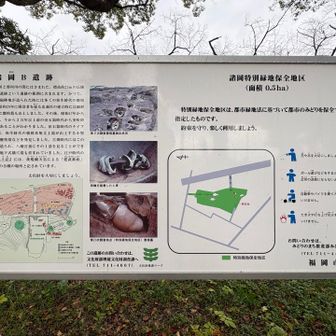 諸岡Ｂ遺跡に来ました。