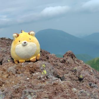 あちゃし