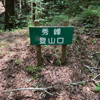 さぁ最後五座目に向けて登って行きます⤴️