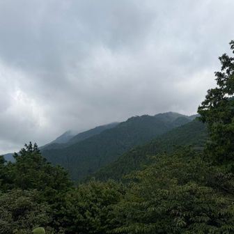 山頂はガスの中