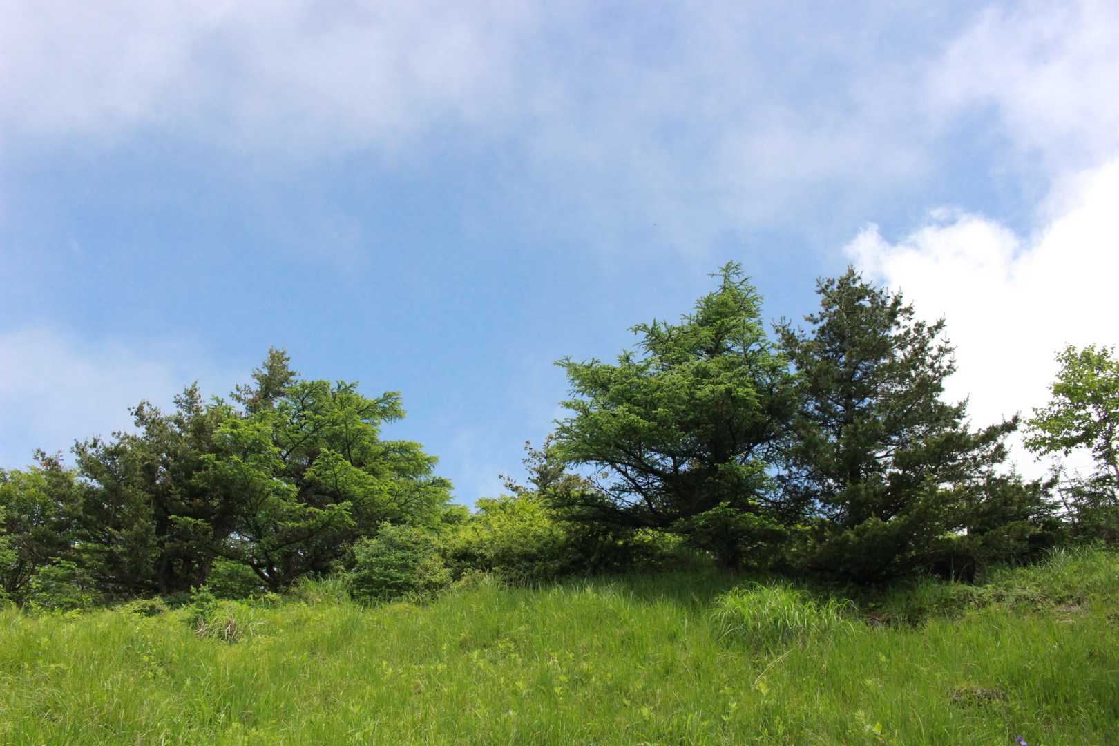篭ノ登山-池ノ平湿原入口-雷の丘-雲上の丘-見晴岳-三方ヶ 縦走コースの写真