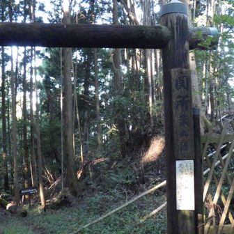 この後、諏訪様経由で山頂を目指します。