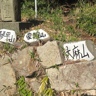 ここから上がるよ～