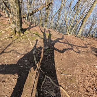 木🌳と私（影写）