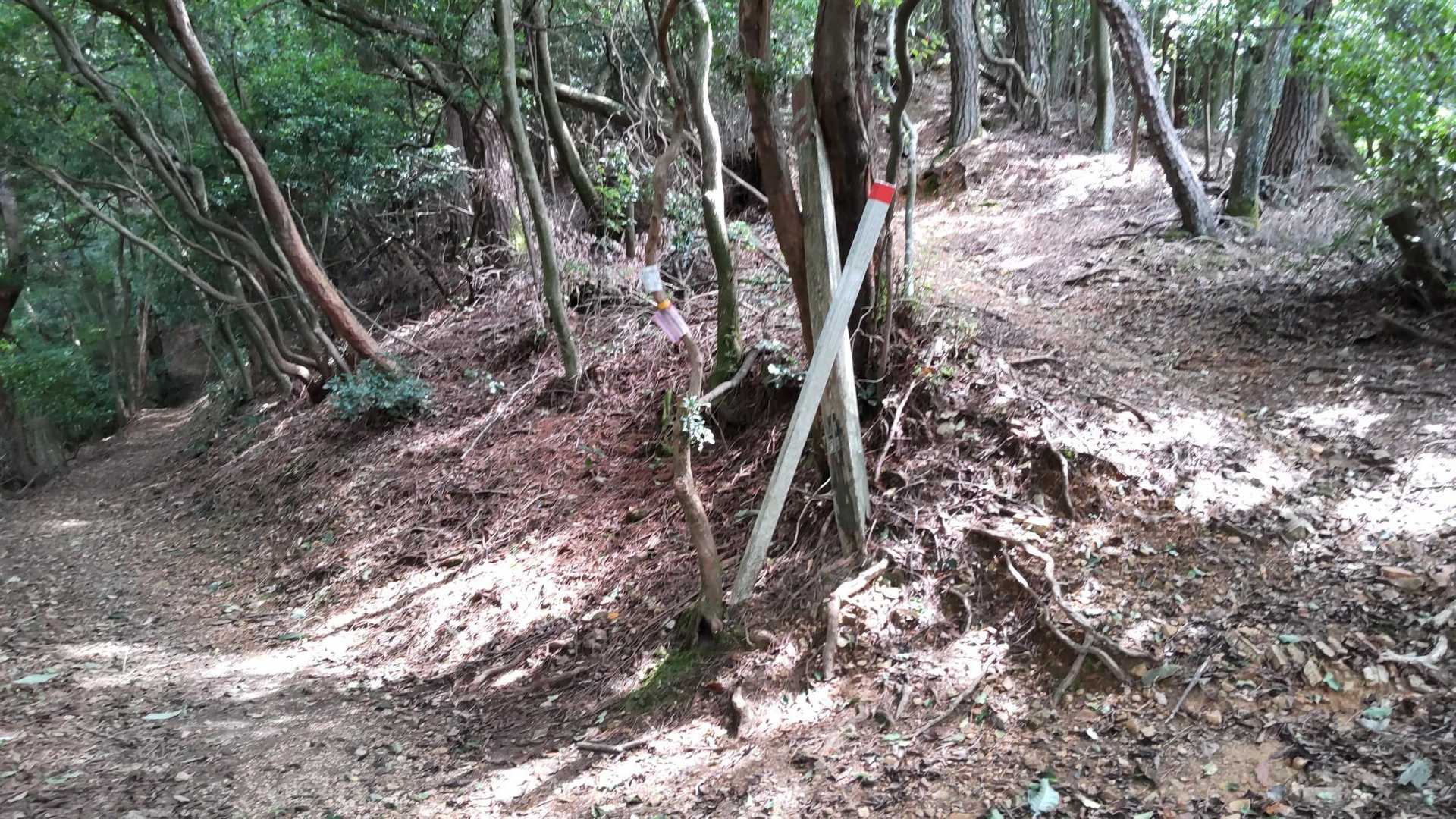 牛尾山へ行くため分かれ道は右へ
わざわざ行ったけど、牛尾山の標識見つからず😥