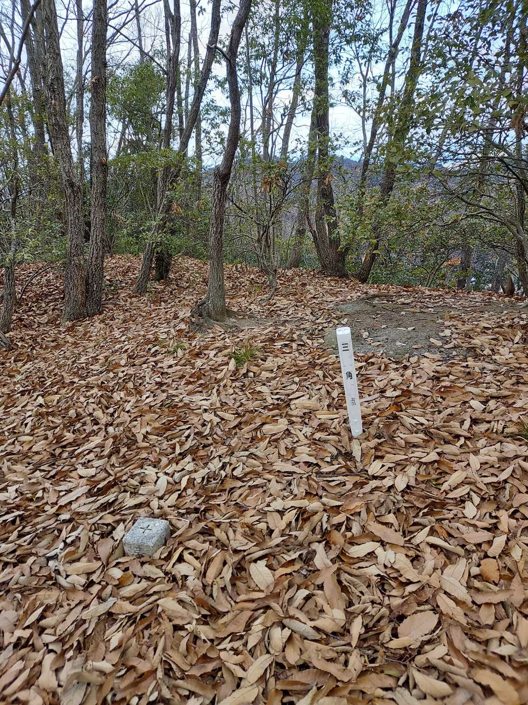ありました古城山山頂、意外に手強かった