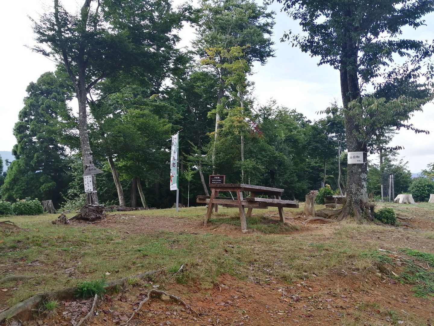 広い山頂