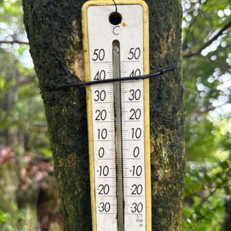 山頂は18℃くらい🙌
やったー‼️涼しいー‼️