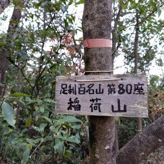 5座目　稲荷山
距離はそうないのでなんとか到着