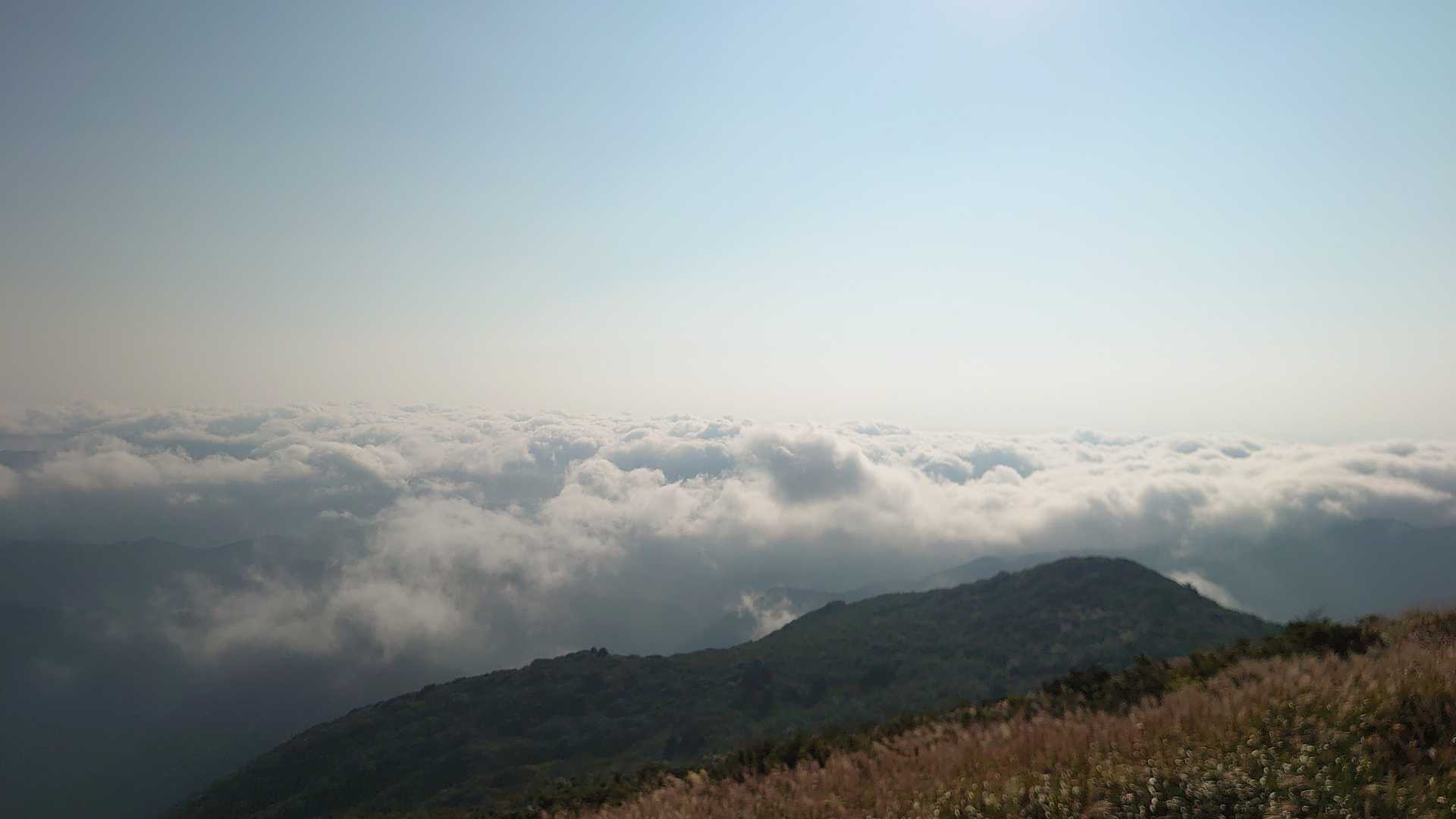 福智山 | 滝、植物、稜線、パノラマ。地元に愛される見どころたくさんコースの写真