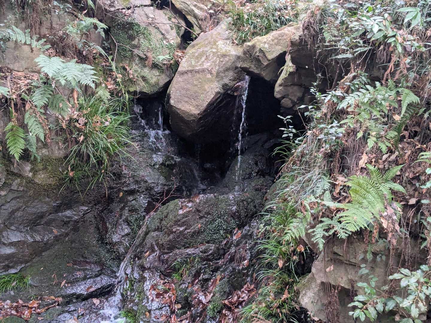 久しぶりに「慈悲の滝」を見ました✌️