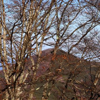 ここからも武甲山。