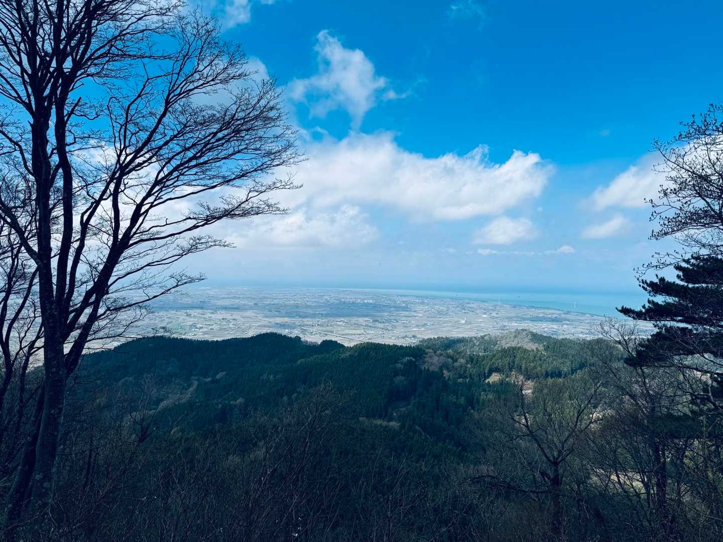 きれいだわー