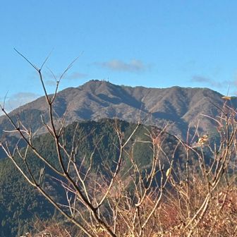 地図にないけど大山が間近に見えました