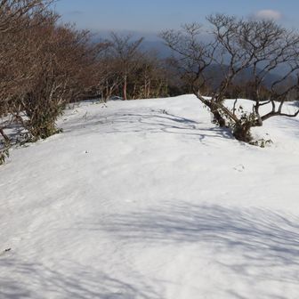 広い尾根が有り、ここから左に降りる。