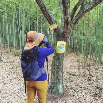 下山