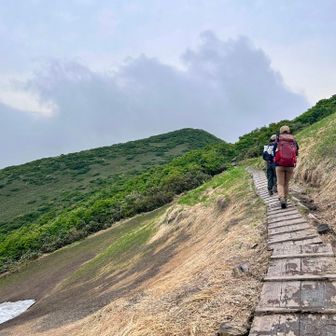 木道のある景色

大好きな景色です。
今年の夏もまた沢山観られるかなぁ。