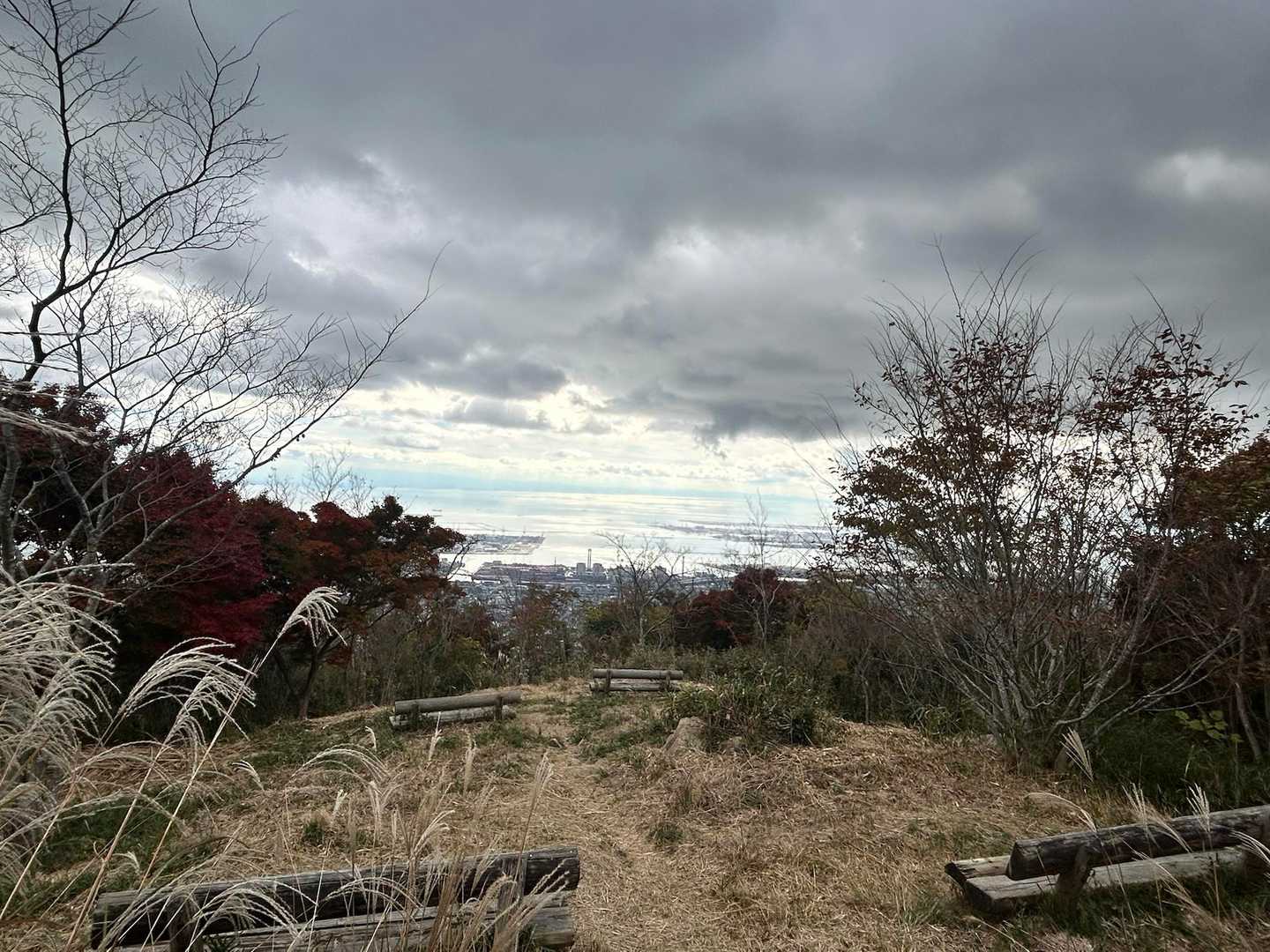 油コブシ-六甲ケーブル山上駅 往復コースの写真
