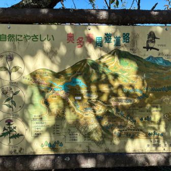 今回は手前から奥に縦走
