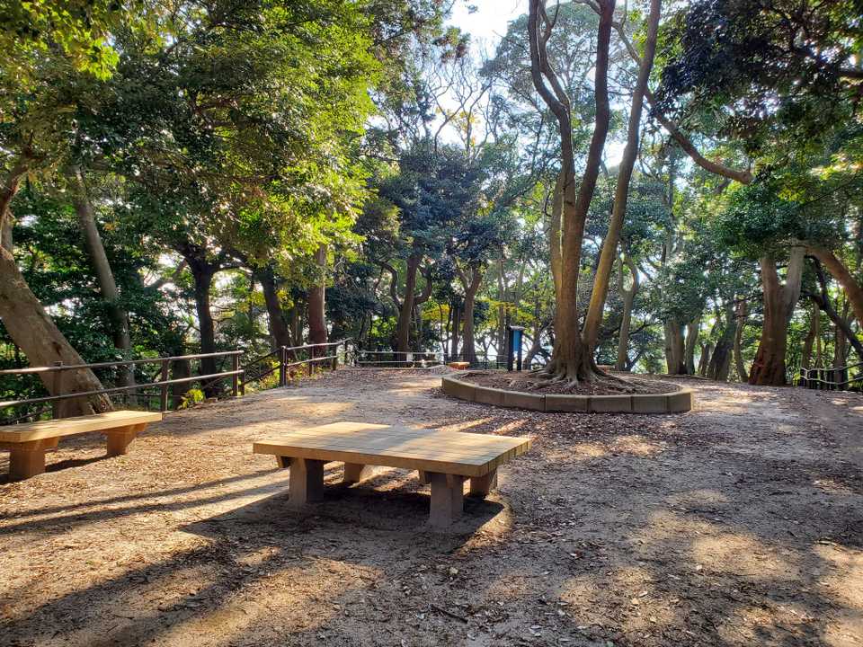 公園みたいなピーク...