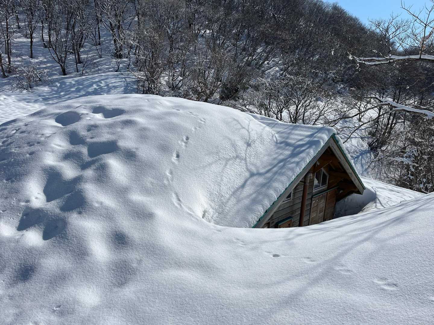これみんなが撮ってる避難小屋📸