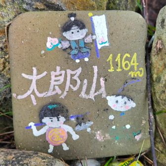 可愛い