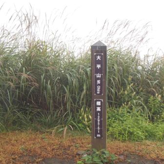 小雨降る大平山(富嶽36景)
晴れていれば山中湖と富士山のコラボが美しいが。