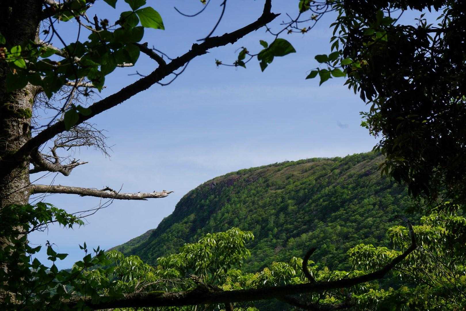 お、目指す下十枚山のようです
まだまだですね