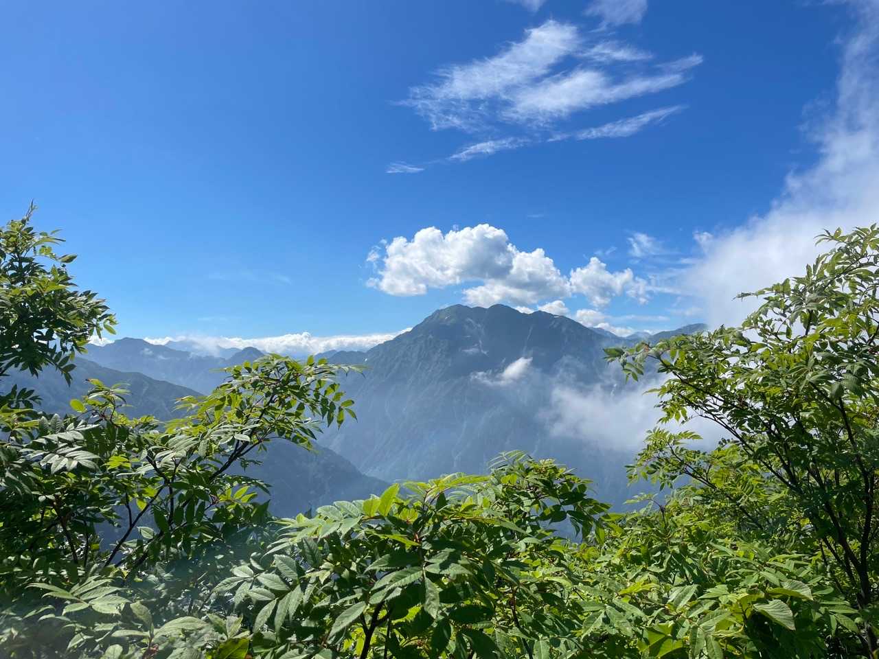 伊折山-成谷山 -僧ヶ岳 往復コースの写真