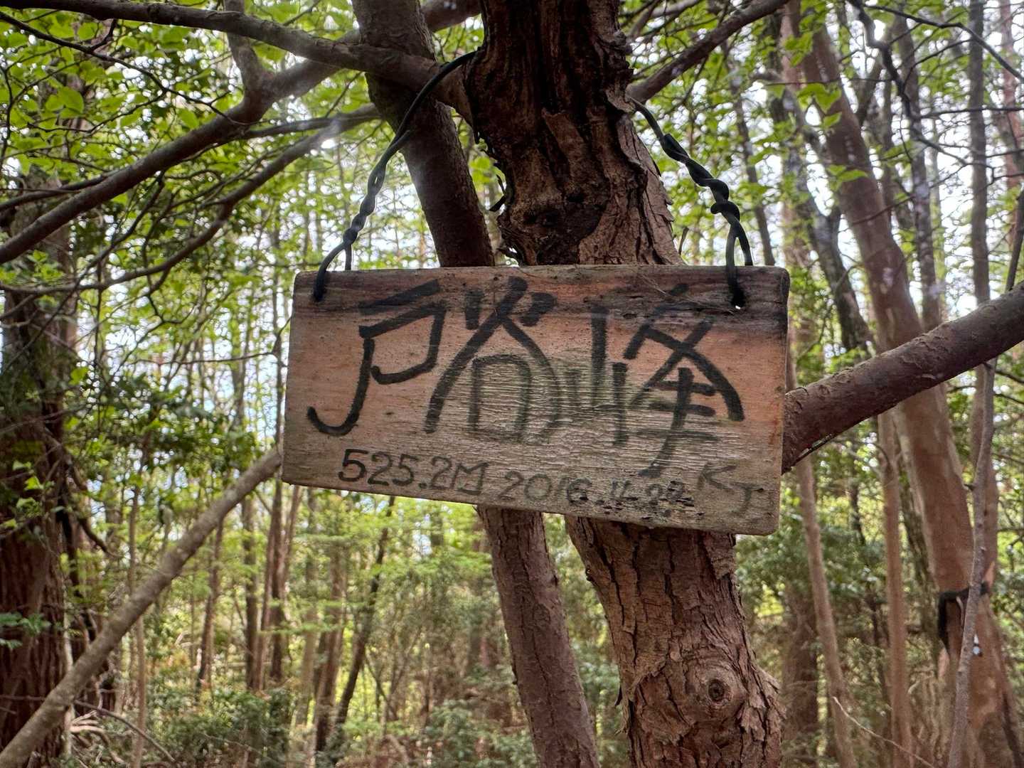 鞍馬駅-山門駅-戸谷峰-天ヶ岳-翠黛山-江文峠-寒谷峠-瓢 縦走コースの写真