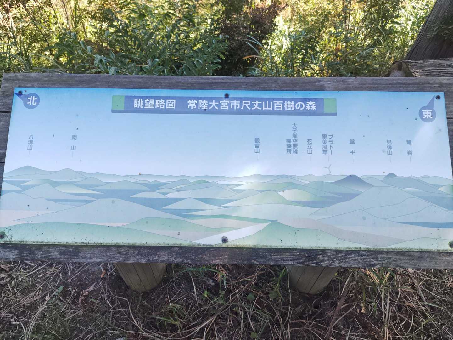 解説
