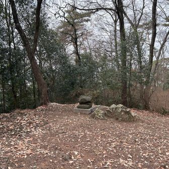 八幡山
足百です
🦵🦵💯