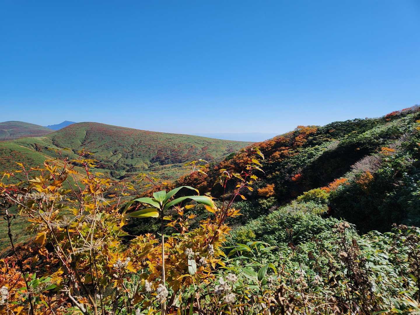 駒池-秋田駒ヶ岳国見コース登山口 縦走コースの写真