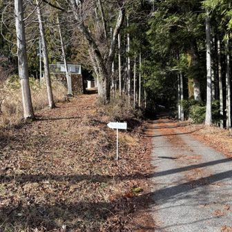 富士見山登山道の始まり🥾