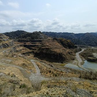 テーブルマウンテンからの景色