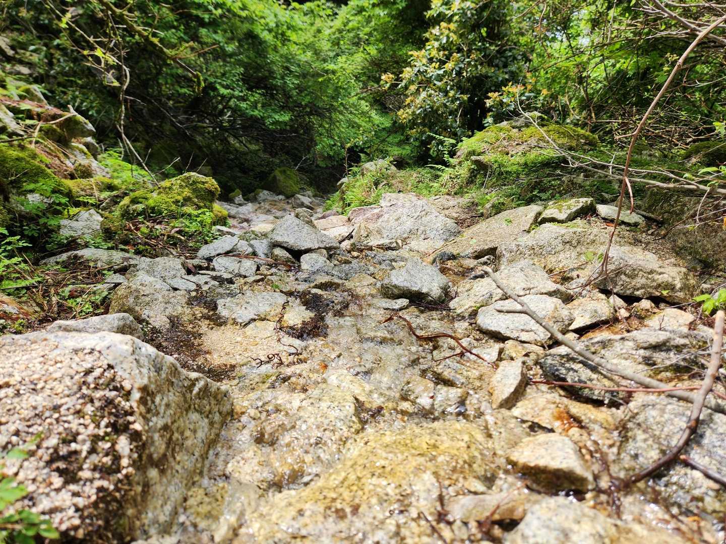 好きな道
水量多い