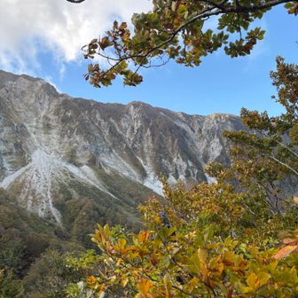 夏山登山道も賑わっているかな
