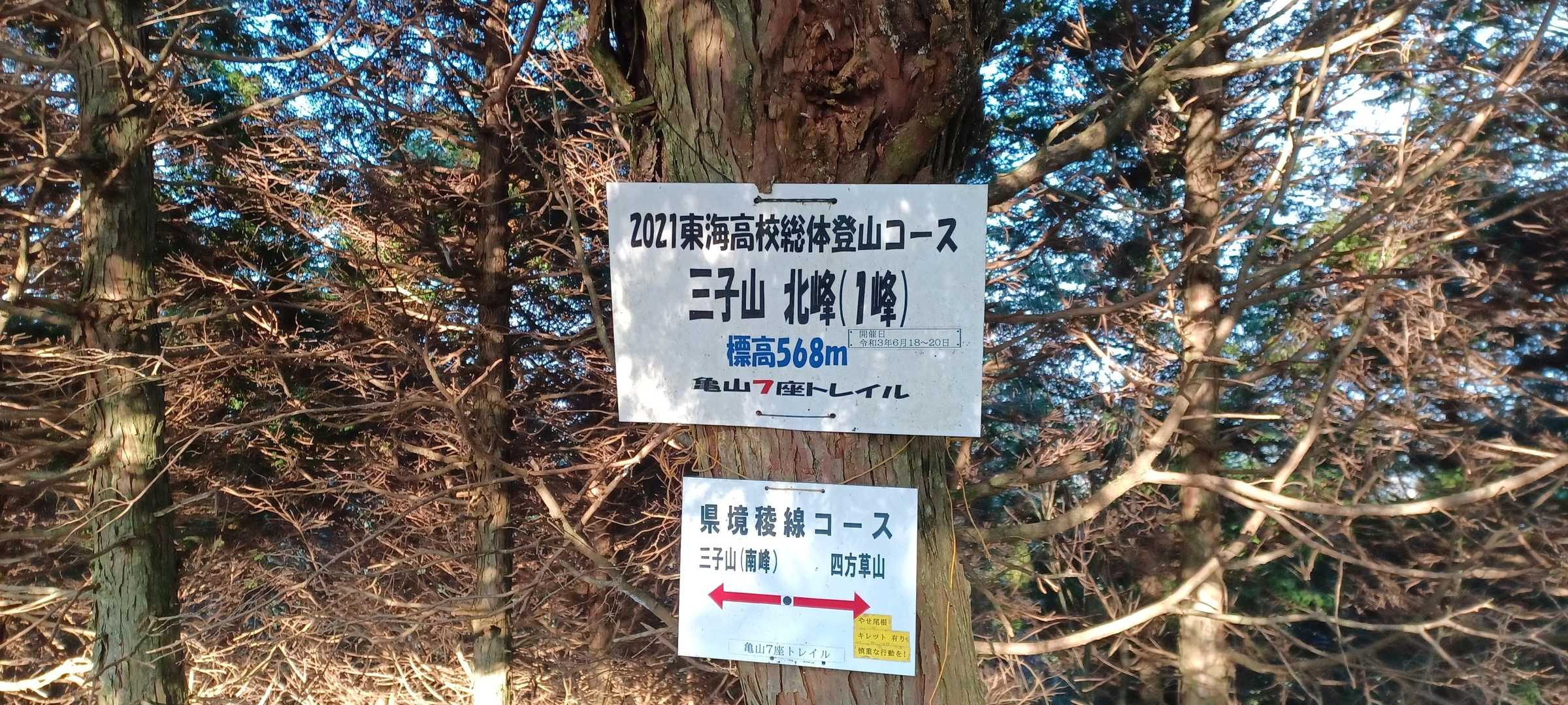 鈴鹿峠-三子山 往復コースの写真