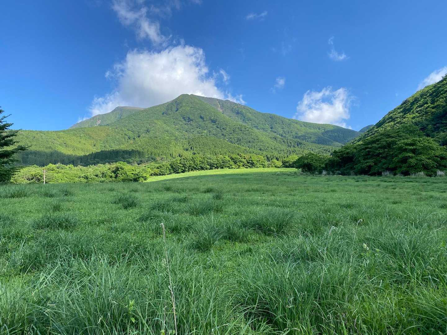 鉾立峠-立中山 往復コースの写真