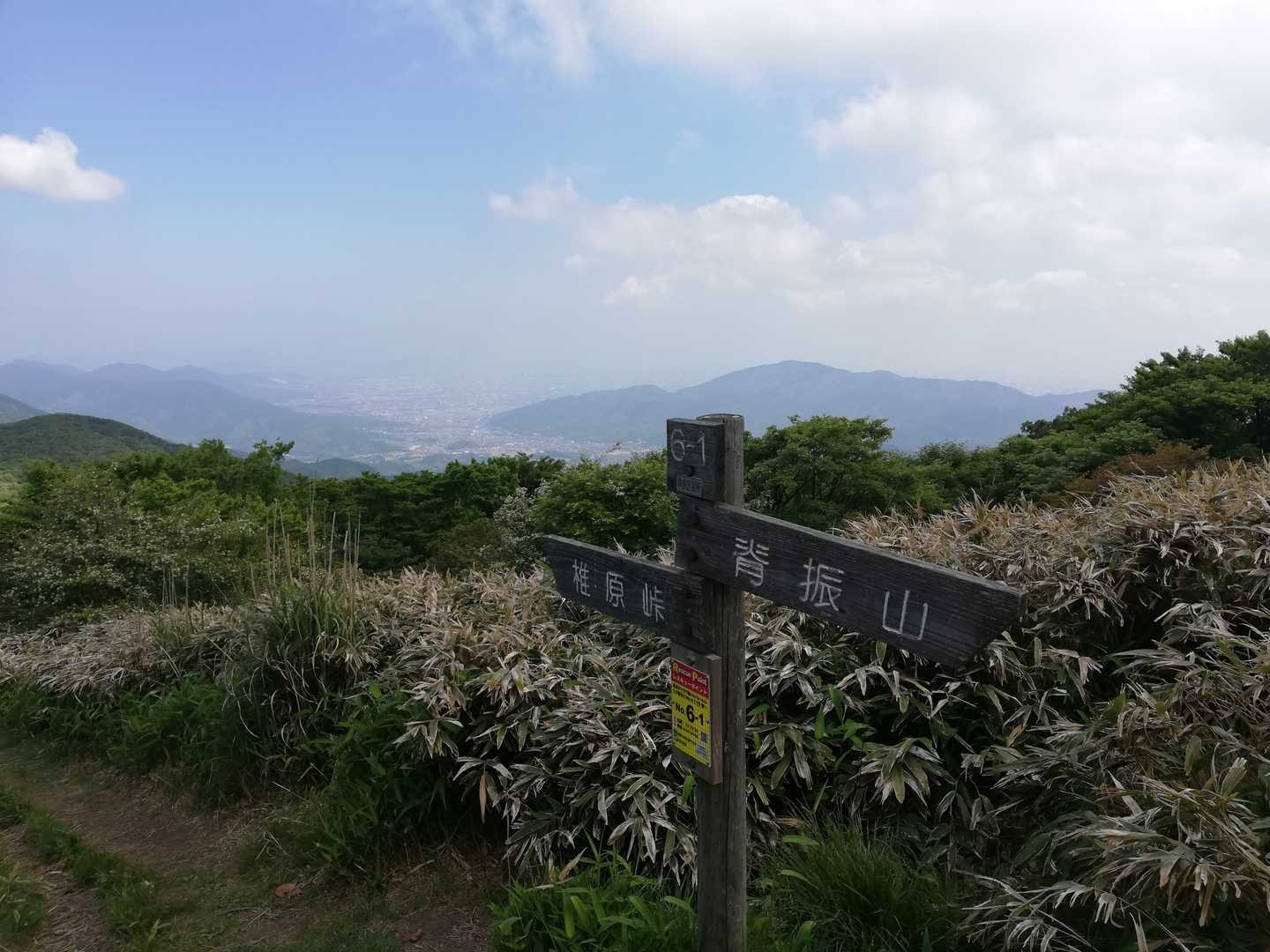 ビューポイント🎵
前方にあるのは油山かな❓