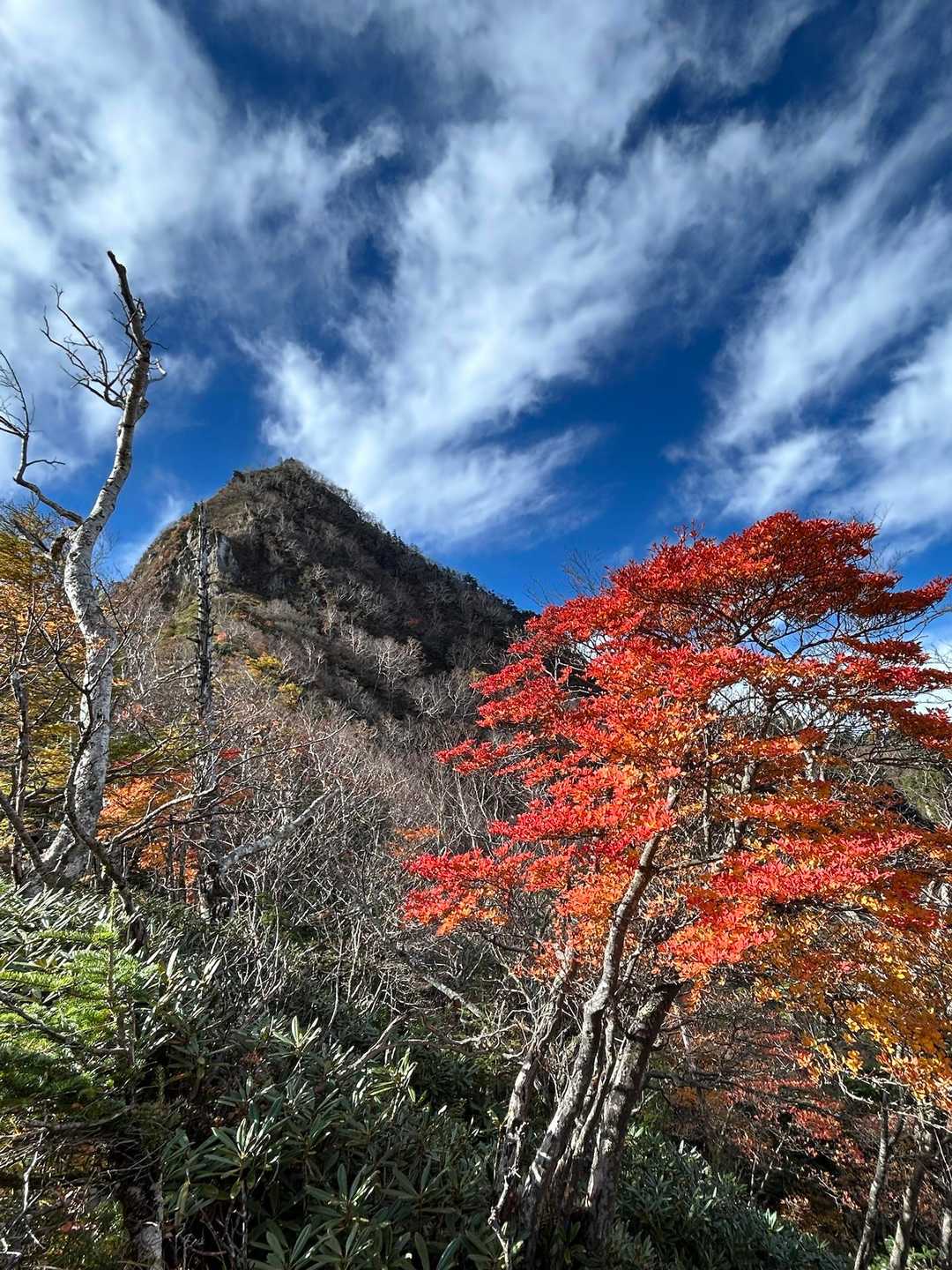 紅葉と金精山