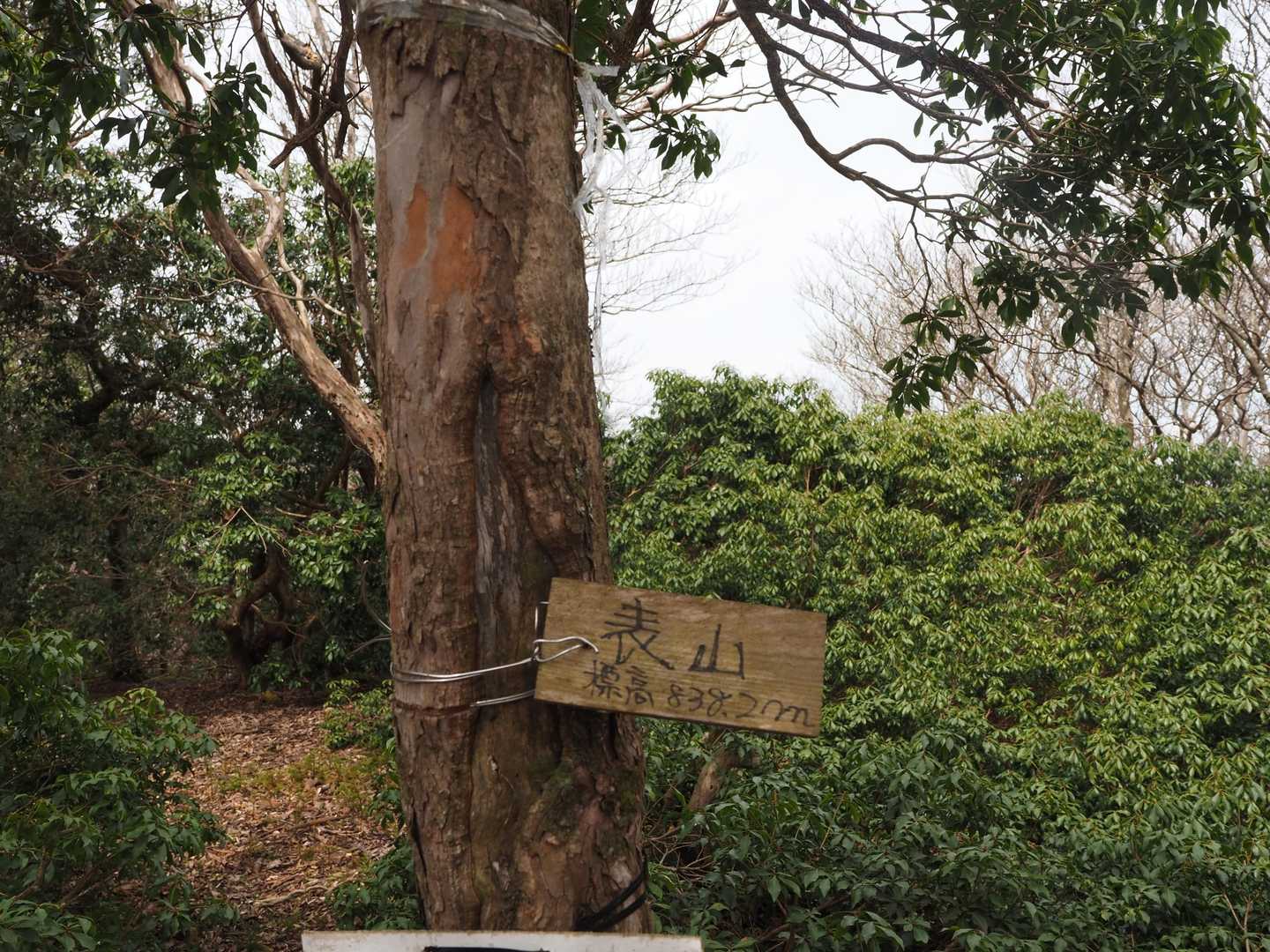 表山山頂
ここで裏山から戻って見えた方が、裏山は景色が良いことを教えてくださいました。
表山で下山をしたら苦行だけたと言って見えました。確かに…