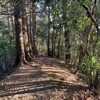 こちらも緩めのアップダウン🏃‍♂️‍➡️