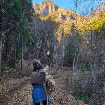 林道に出たぁ。。。