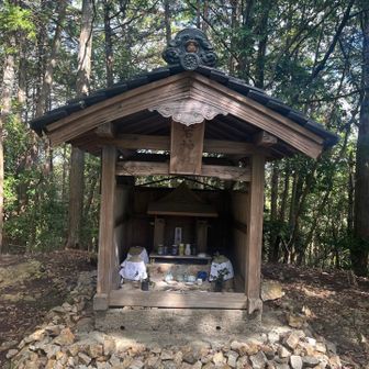 愛宕山神社⛩️