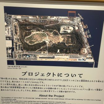 ということで先ほどの2座ももちろん「ゴミの山」。