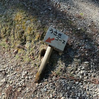 うさぎには大変なコースなんだけどな