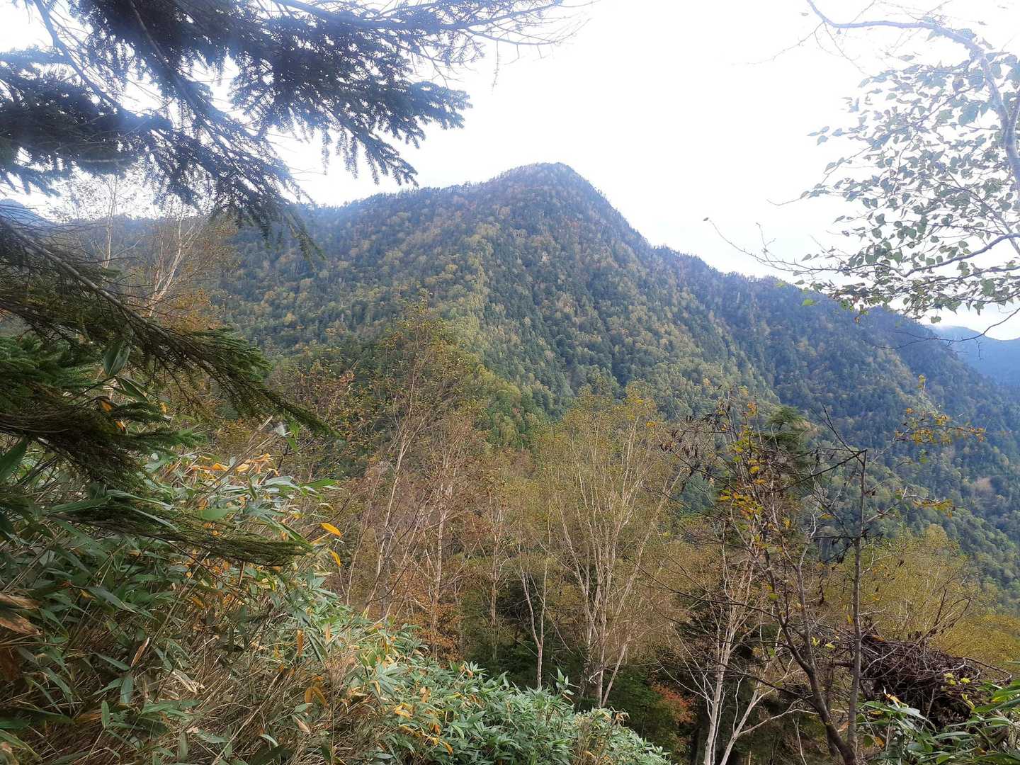 四郎岳に登る途中　燕巣山を振り返って