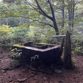 行き帰りでお世話なった水場