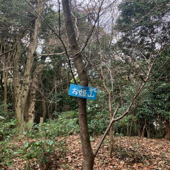 お姫山　　ステキなネーミングで6ピーク